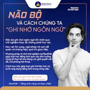 Não Bộ Và Cách Chúng Ta Ghi Nhớ Ngôn Ngữ